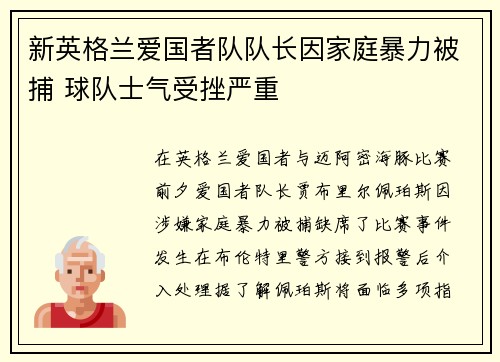 新英格兰爱国者队队长因家庭暴力被捕 球队士气受挫严重